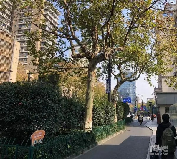 外卖小哥被掉下的树枝砸得鲜血直流，一抬头树上有人正在修剪……