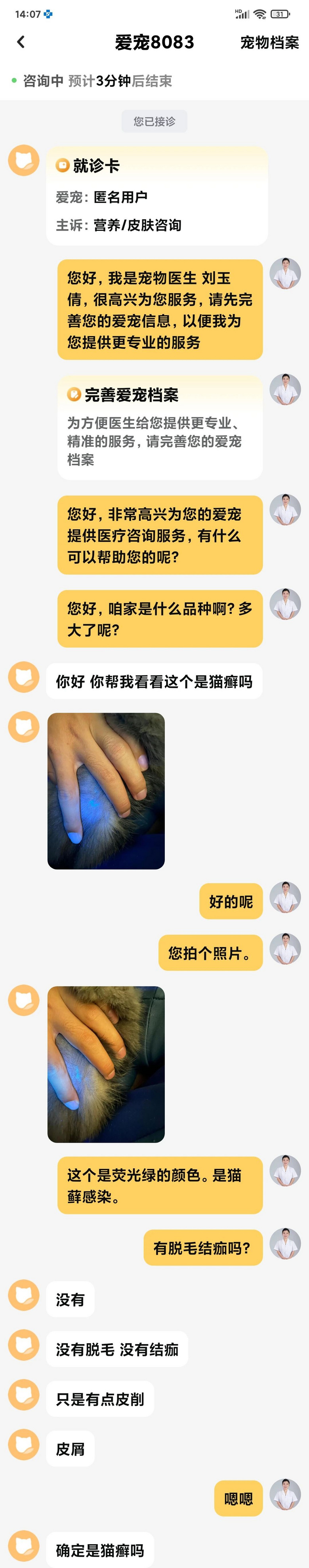 撿了一只像“樹妖姥姥”的貓回家,細心照顧幾個月…真身也太美了