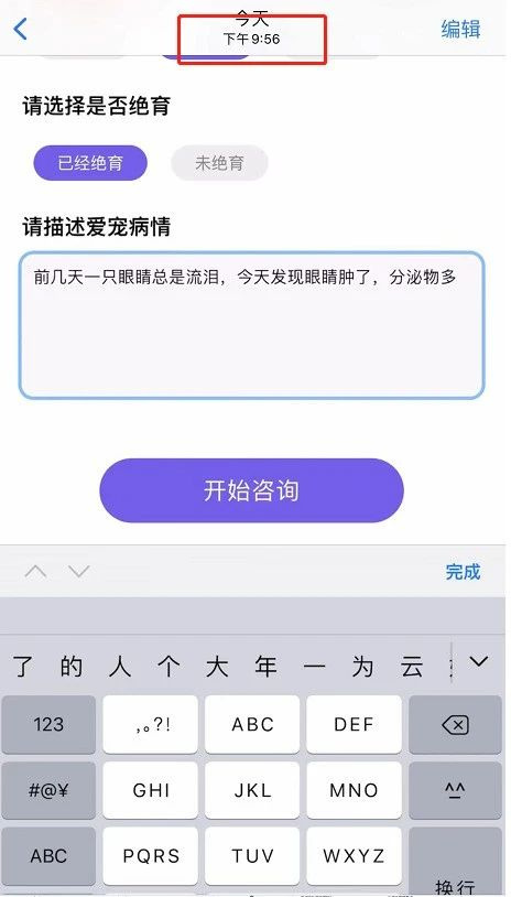 撿了一只像“樹妖姥姥”的貓回家,細心照顧幾個月…真身也太美了