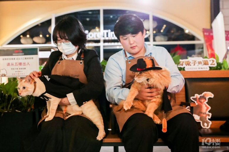 《穿靴子的猫2》杭州超前观影会特设宠物专场粉丝携萌宠共鉴！