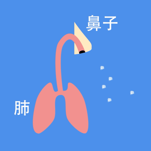 ȾwܾSֶθȾP(gun)Iڡӡ