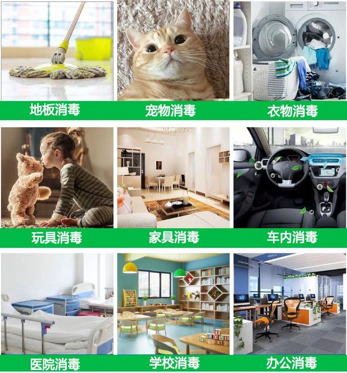 妹子陽后四天沒洗頭,小貓湊近一聞隔夜飯差點吐出來:好像看見我