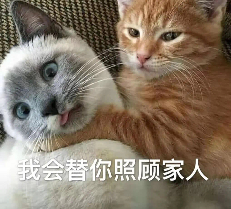 国民老公分手后潜入女友家里偷猫好大儿爸爸来接你回家