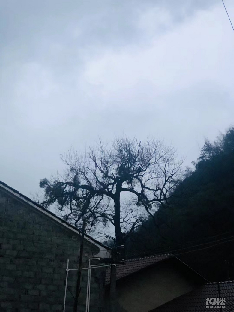 【回帖赢红包】过年你去哪儿玩了？