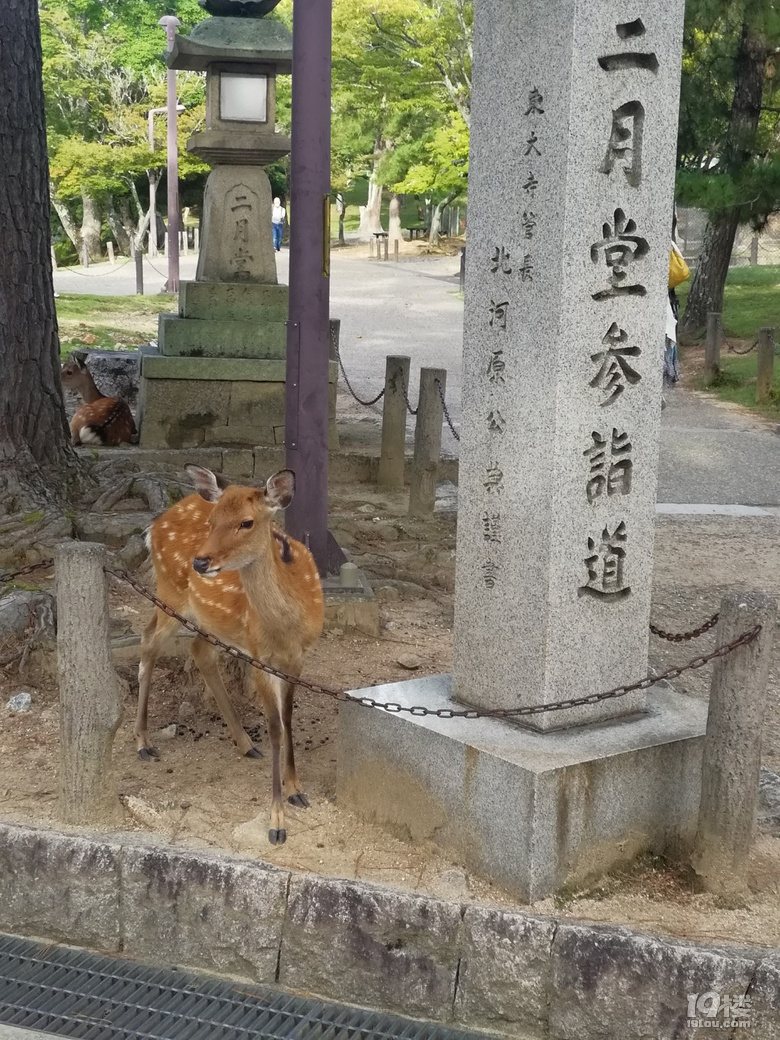 【回帖赢红包】过年你去哪儿玩了？