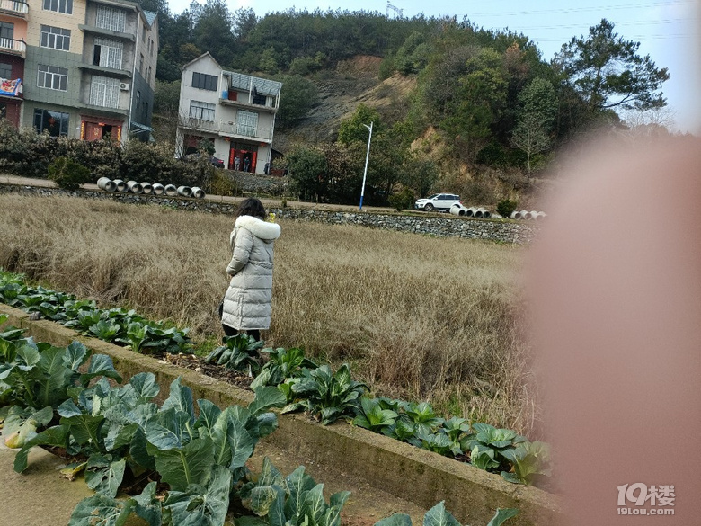 【回帖赢红包】过年你去哪儿玩了？