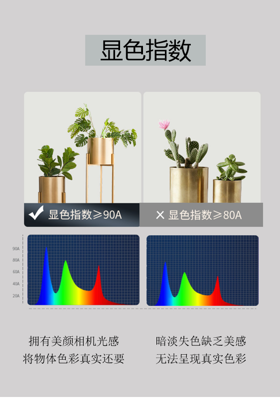 ����ˣ���8000+fensi�ʱ��ĵƹ����