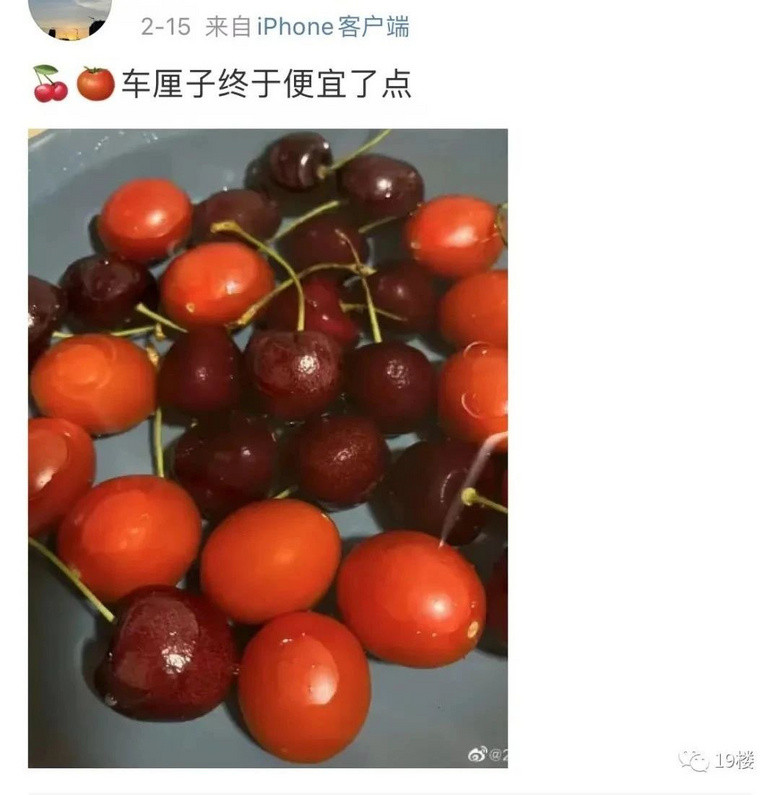 車厘子價格大跳水?志玲勾莊實探:不僅沒降,還漲了!