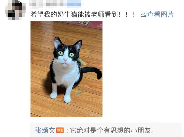 演員張頌文撿到只花紋獨(dú)特的流浪貓,結(jié)果分不清臉…整天對(duì)著貓屁