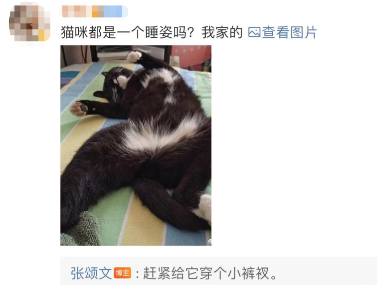 演員張頌文撿到只花紋獨(dú)特的流浪貓,結(jié)果分不清臉…整天對(duì)著貓屁