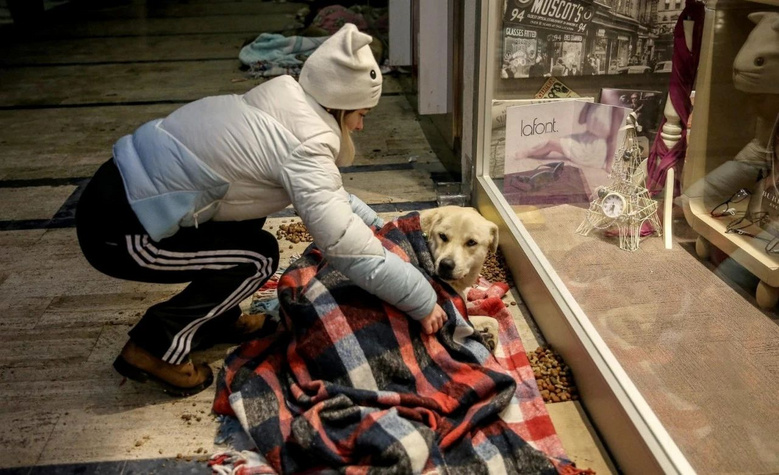 土耳其地震,中國搜救犬已遠赴災區(qū)救援…“小英雄要平安回家!”