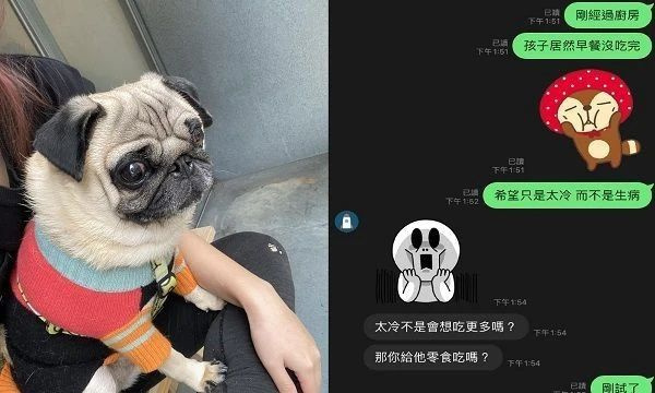 貪吃汪突然厭食,全家人急壞了準(zhǔn)備去醫(yī)院,結(jié)果...被騙了