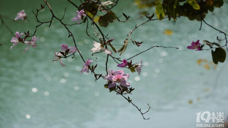 ���������á���ԡ������ʹ��磬�����ͻ��ļ���