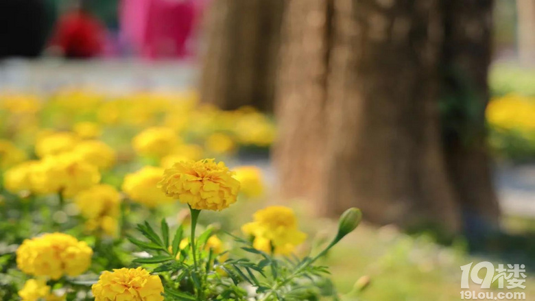 ���������á���ԡ������ʹ��磬�����ͻ��ļ���