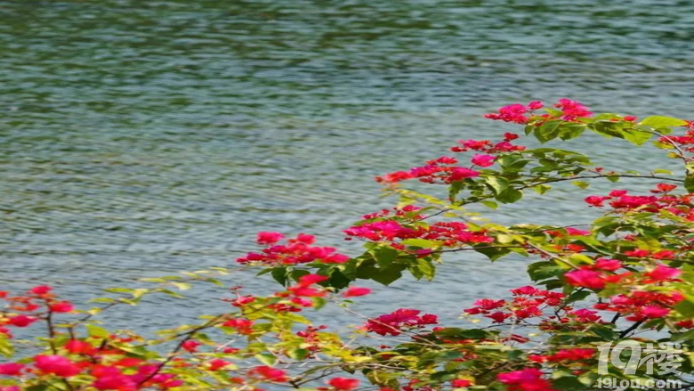 ���������á���ԡ������ʹ��磬�����ͻ��ļ���