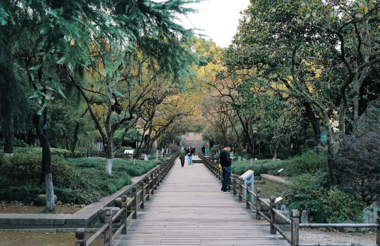 三条踏青citywalk路线，一起迎接杭州的春天