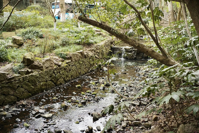 三条踏青citywalk路线，一起迎接杭州的春天