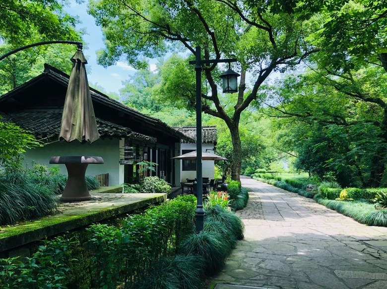 三条踏青citywalk路线，一起迎接杭州的春天