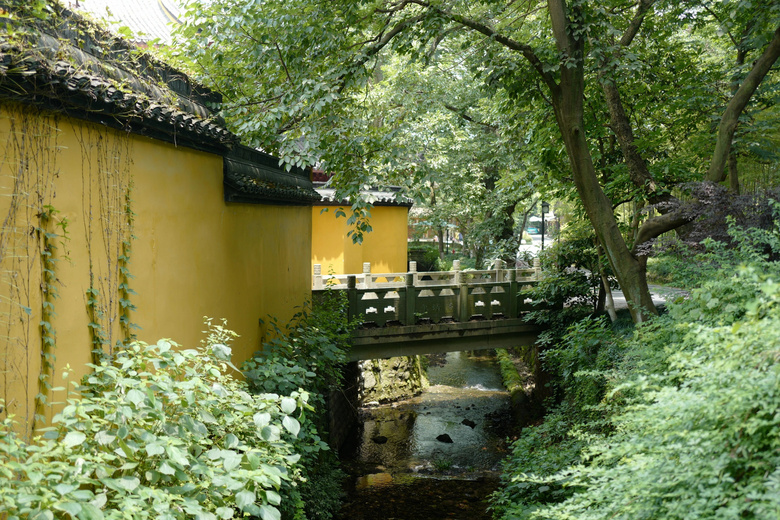 三条踏青citywalk路线，一起迎接杭州的春天