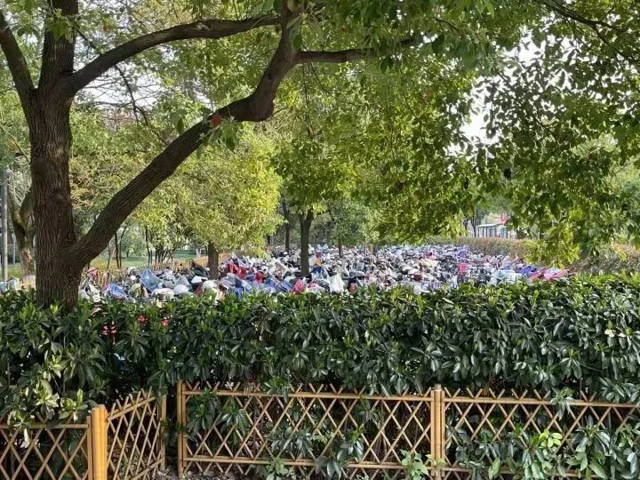 杭州地铁口这幕让人傻眼:打工人上下班太难了