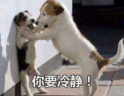 狗子嘴邊沾了褐色異物,主人怕它誤食巧克力,直接嘗了嘗,結(jié)果是