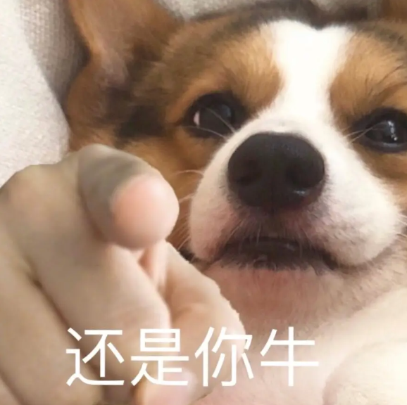 狗子嘴邊沾了褐色異物,主人怕它誤食巧克力,直接嘗了嘗,結(jié)果是