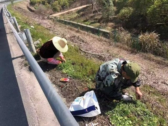 杭州近期高发，不少人都在采！紧急提醒：这事千万别做