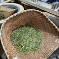 【她力量】200度高温手炒茶叶，一坐就是一整天