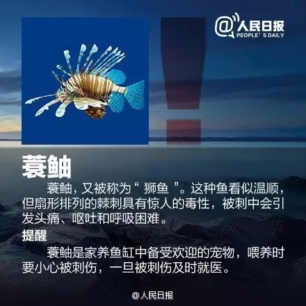 有剧毒，看到立即远离！很多人都打算去这里，务必提防它们...