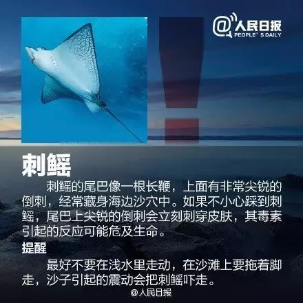有剧毒，看到立即远离！很多人都打算去这里，务必提防它们...