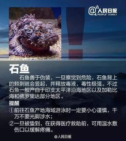 有剧毒，看到立即远离！很多人都打算去这里，务必提防它们...