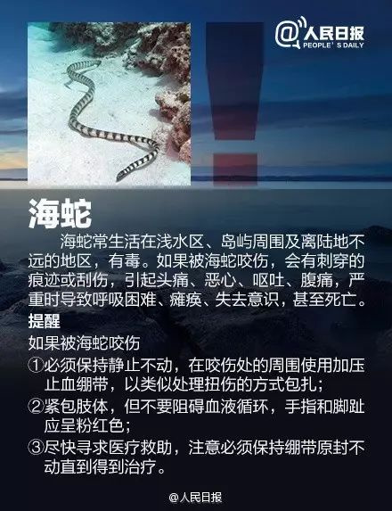 有剧毒，看到立即远离！很多人都打算去这里，务必提防它们...
