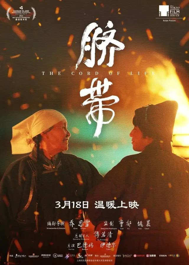 姚晨唯一的錯,捧她捧得太低調