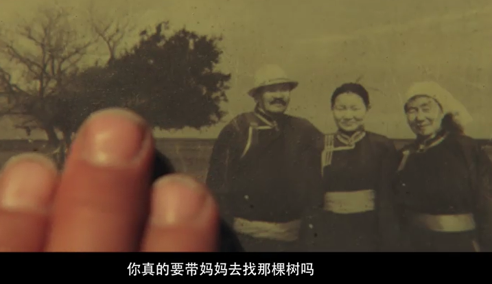 姚晨唯一的錯,捧她捧得太低調