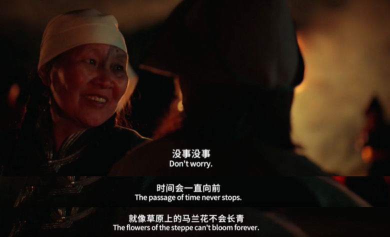 姚晨唯一的錯,捧她捧得太低調