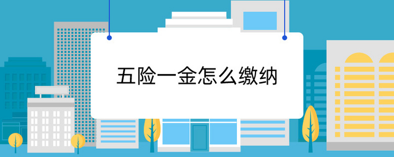 五险一金怎么缴纳
