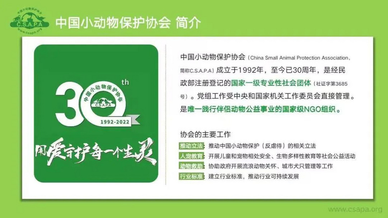 流浪貓蜷縮在雕像懷里,睡得一臉安逸:“貓貓我啊,終于有人抱了