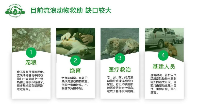 流浪貓蜷縮在雕像懷里,睡得一臉安逸:“貓貓我啊,終于有人抱了