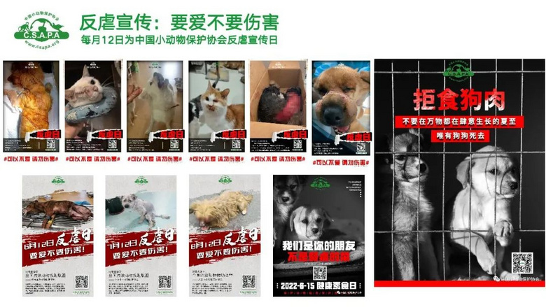 流浪貓蜷縮在雕像懷里,睡得一臉安逸:“貓貓我啊,終于有人抱了
