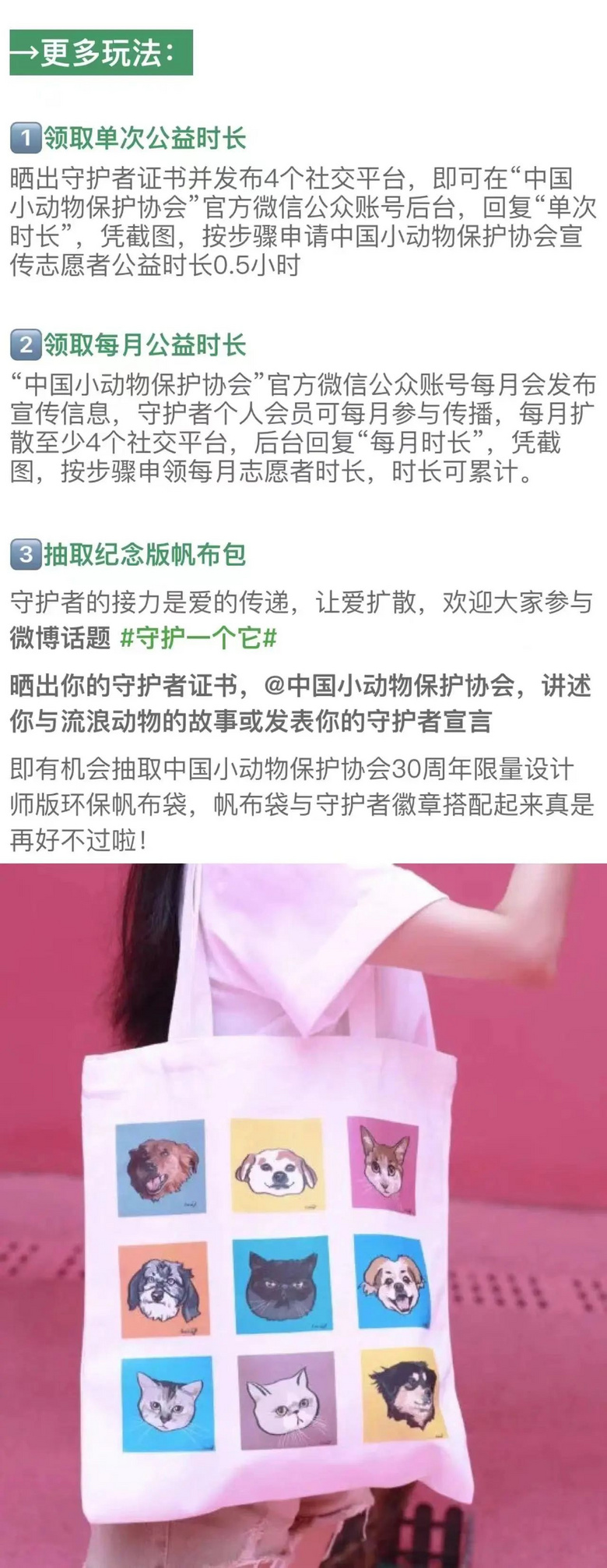 流浪貓蜷縮在雕像懷里,睡得一臉安逸:“貓貓我啊,終于有人抱了