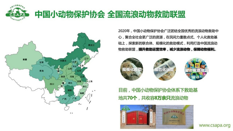 流浪貓蜷縮在雕像懷里,睡得一臉安逸:“貓貓我啊,終于有人抱了
