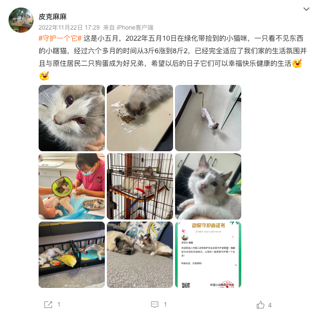 流浪貓蜷縮在雕像懷里,睡得一臉安逸:“貓貓我啊,終于有人抱了
