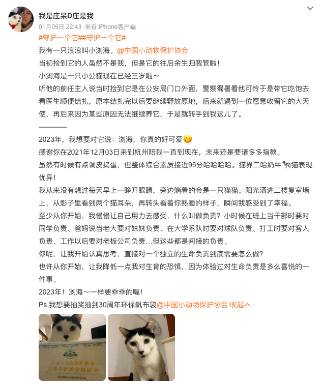 流浪貓蜷縮在雕像懷里,睡得一臉安逸:“貓貓我啊,終于有人抱了