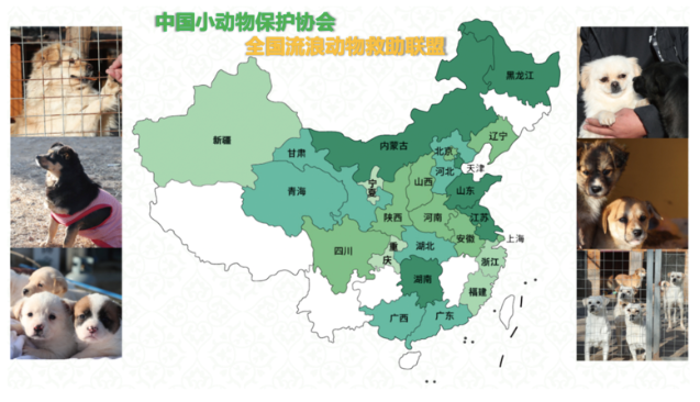 流浪貓蜷縮在雕像懷里,睡得一臉安逸:“貓貓我啊,終于有人抱了