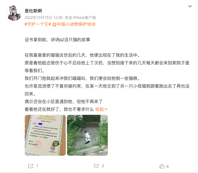 流浪貓蜷縮在雕像懷里,睡得一臉安逸:“貓貓我啊,終于有人抱了