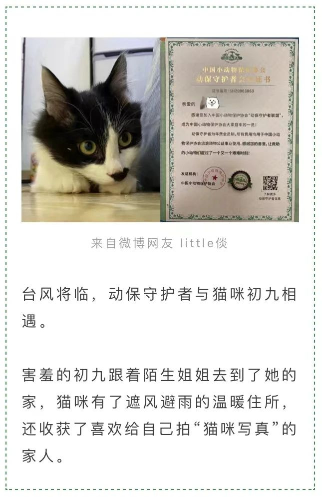 流浪貓蜷縮在雕像懷里,睡得一臉安逸:“貓貓我啊,終于有人抱了