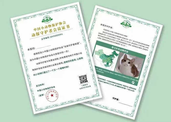 流浪貓蜷縮在雕像懷里,睡得一臉安逸:“貓貓我啊,終于有人抱了