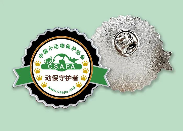 流浪貓蜷縮在雕像懷里,睡得一臉安逸:“貓貓我啊,終于有人抱了