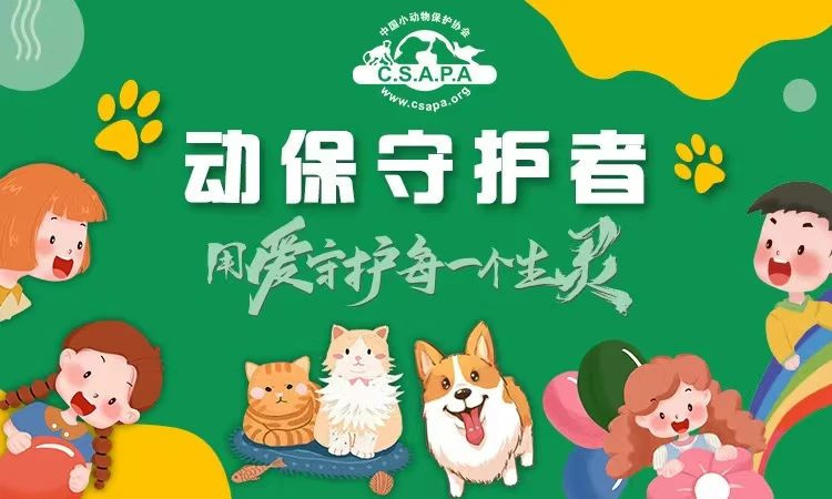 流浪貓蜷縮在雕像懷里,睡得一臉安逸:“貓貓我啊,終于有人抱了