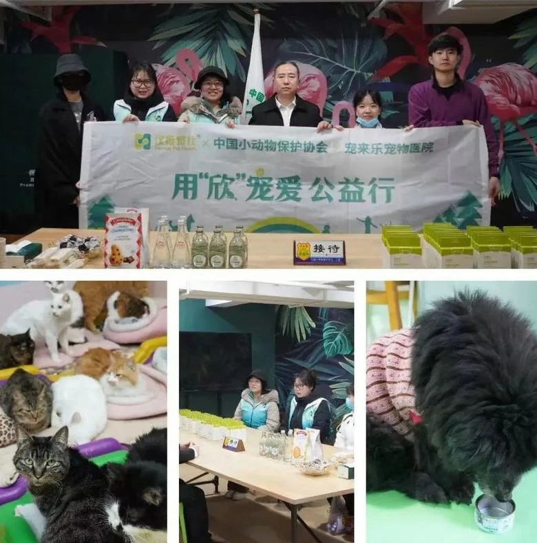 流浪貓蜷縮在雕像懷里,睡得一臉安逸:“貓貓我啊,終于有人抱了